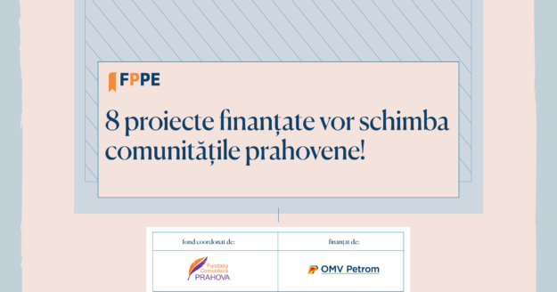 proiecte finantate site